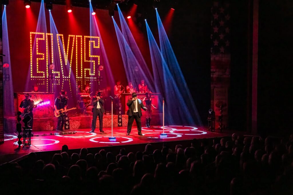 The Chicago Blues Brothers live on stage